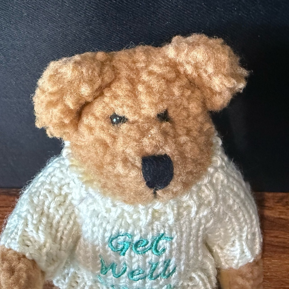 BERKELEY DESIGNS “Get Well Soon” Bear - Picture 2 of 12
